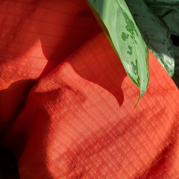 Uniqlo tangerine jaquard striped skirt with pockets - Picture 5 of 7